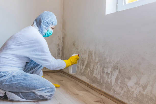 Mold inspector in Glen Hope performing thermal imaging